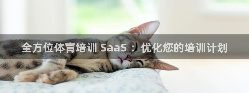 欧陆娱乐微信：全方位体育培训 SaaS ：优化您的培