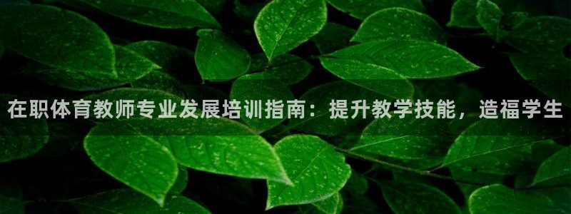 欧陆娱乐登陆官网下载：在职体育教师专业发展培训指南：提升教学